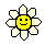 [daisy]