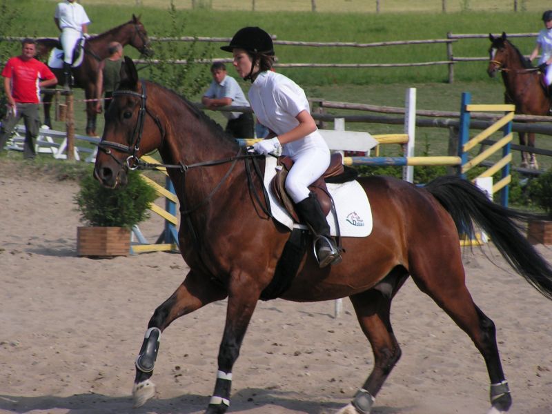 Obrazek