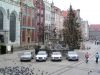 P1010035.JPG