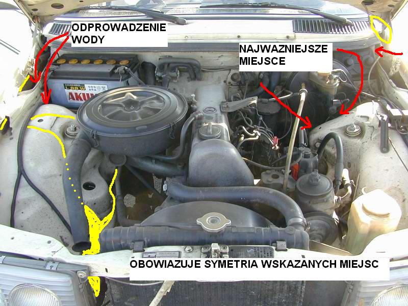 Rozmiar: 95767 bajtów